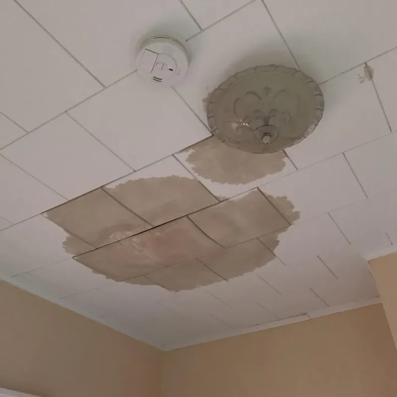 Ceiling Water Damage Repair in Farmers Branch, TX